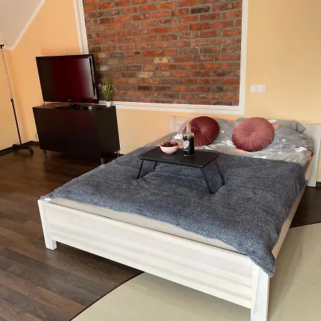 Lake&forest Trojmiasto 招待所 Dobrzewino